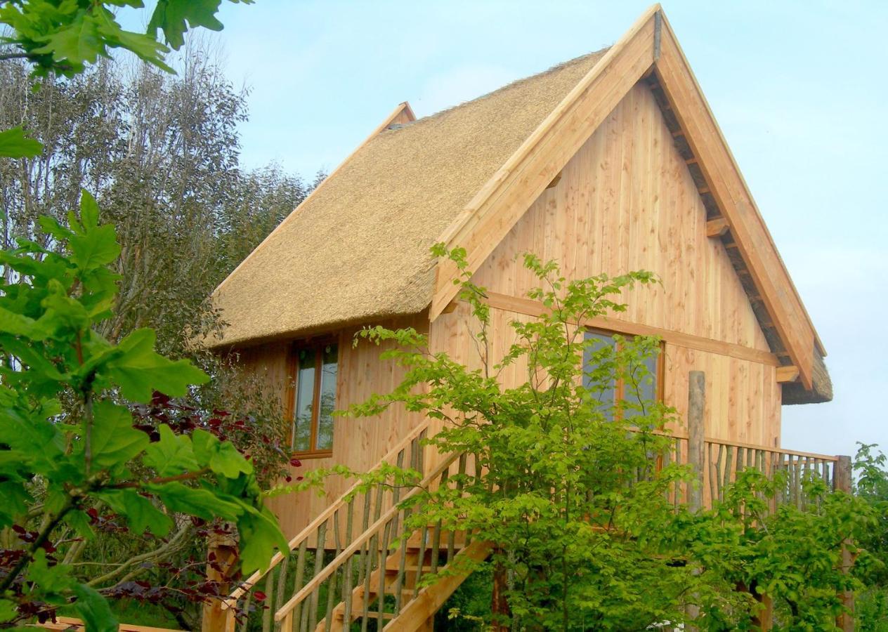 Chambres D'Hotes Le Nid D'Iroise Lanildut Exterior foto