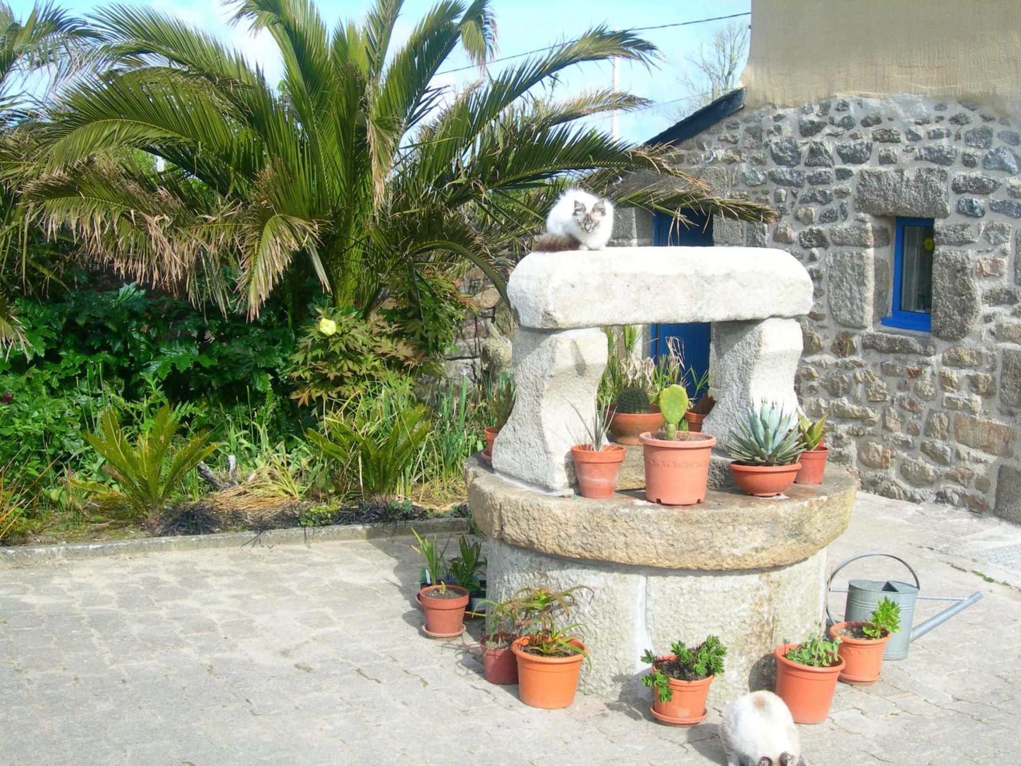 Chambres D'Hotes Le Nid D'Iroise Lanildut Exterior foto